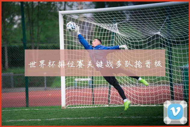 世界杯排位赛关键战多队抢晋级