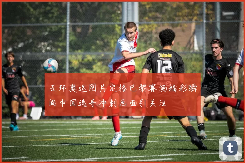 五环奥运图片定格巴黎赛场精彩瞬间中国选手冲刺画面引关注