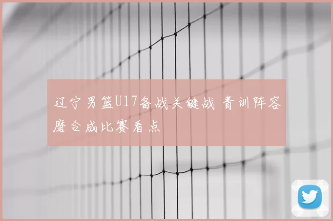 辽宁男篮U17备战关键战 青训阵容磨合成比赛看点
